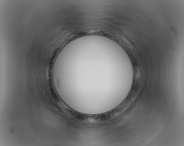 X0000113550565200909181001