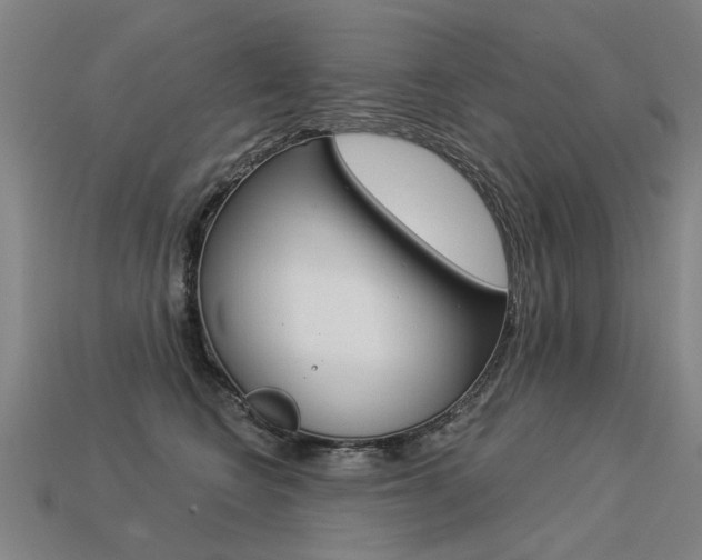 X0000113550566200909181001