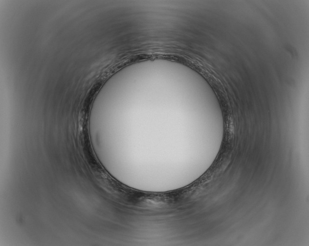 X0000113550567200909181001