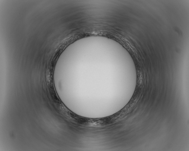 X0000113550569200909181002