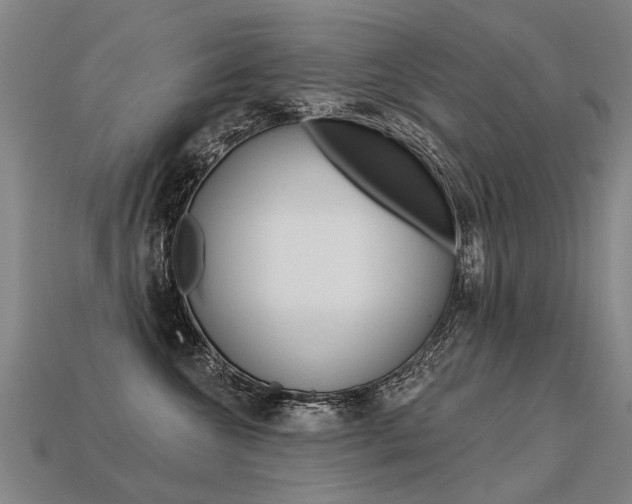 X0000113550572200909181002