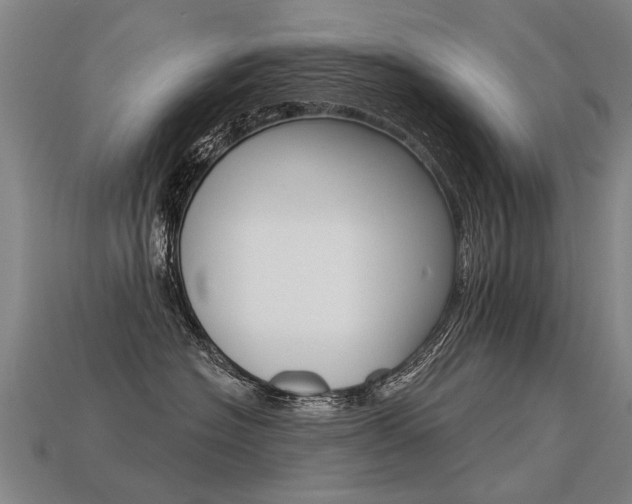 X0000113550574200909181002
