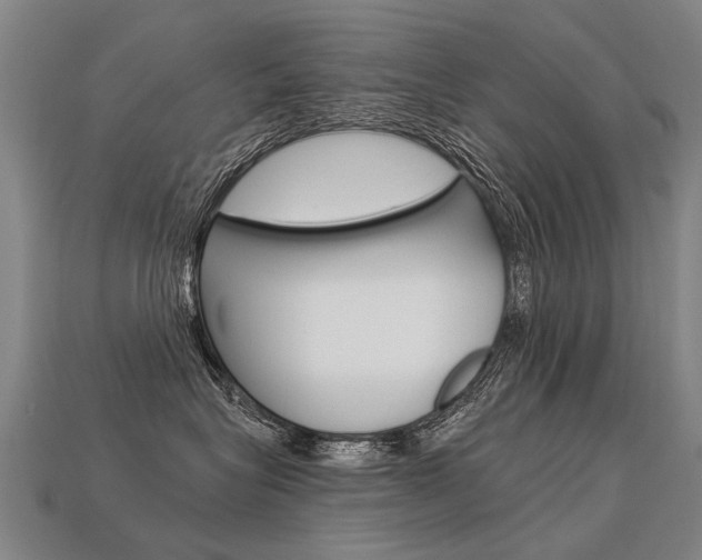 X0000113550575200909181002