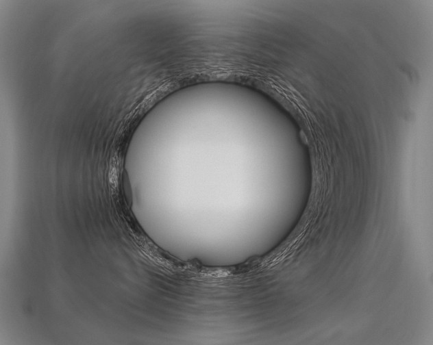 X0000113550576200909181002