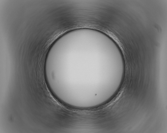 X0000113550577200909181001