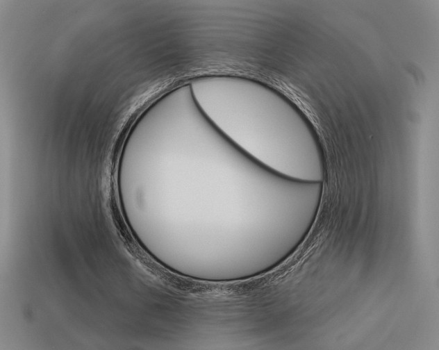 X0000113550578200909181001