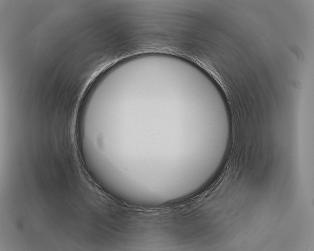 X0000113550579200909181001