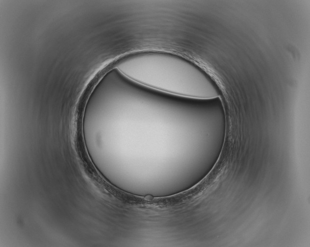 X0000113550580200909181001