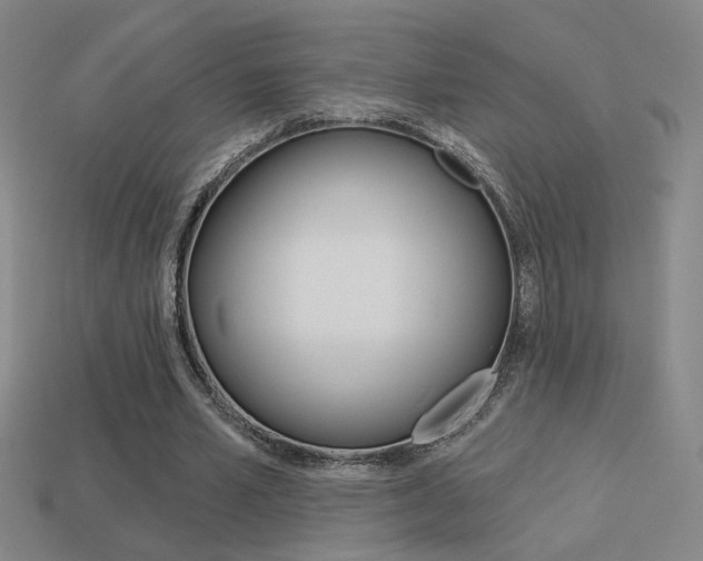 X0000113550581200909181001
