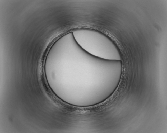 X0000113550582200909181001
