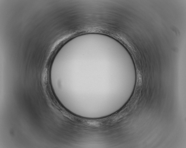 X0000113550583200909181001