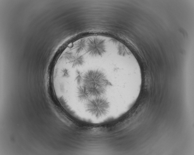 X0000113550584200909181001