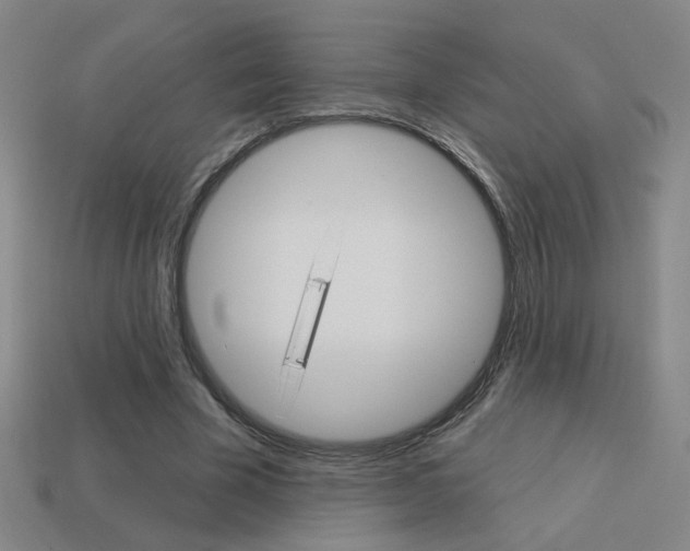 X0000113550585200909181001