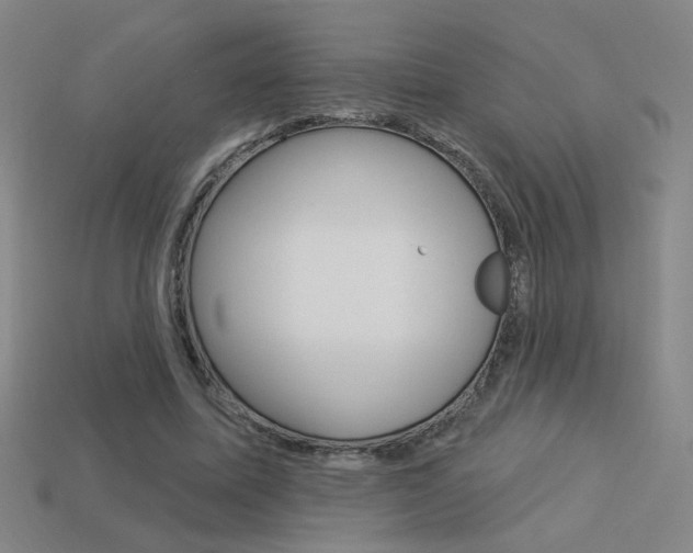X0000113550587200909181001