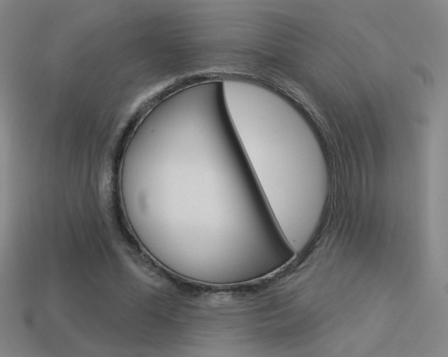 X0000113550588200909181001