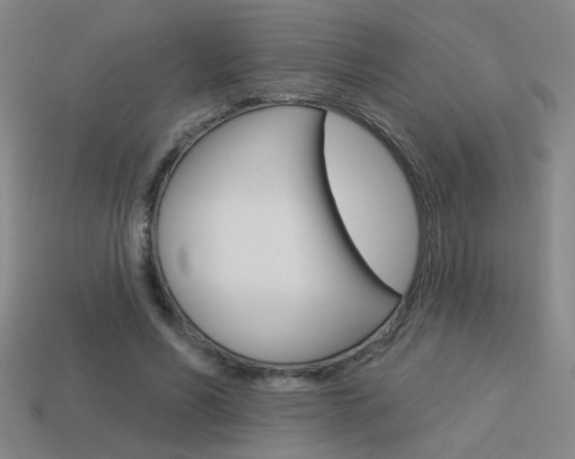 X0000113550590200909181001