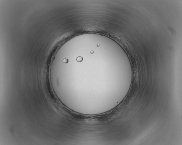 X0000113550591200909181001