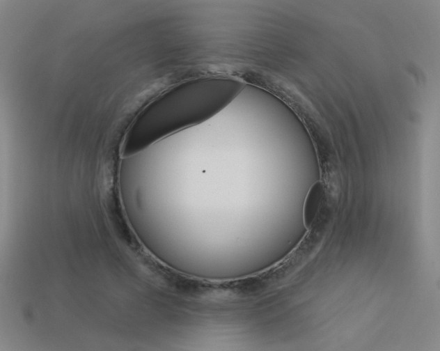 X0000113550593200909181001