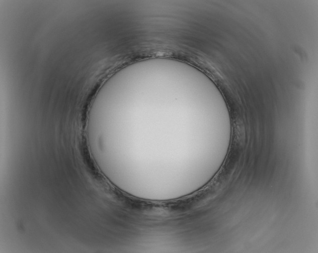 X0000113550594200909181001
