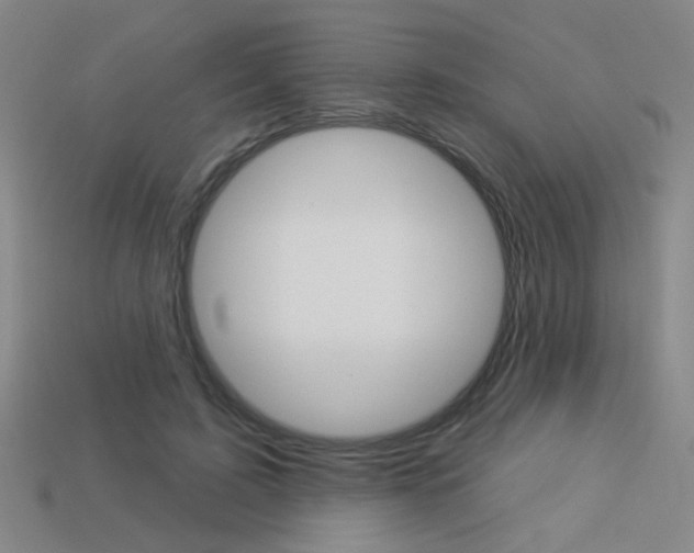 X0000113550595200909181001