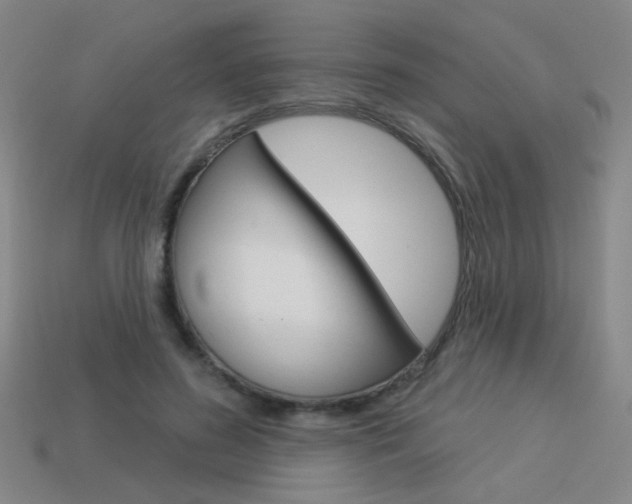 X0000113550596200909181001