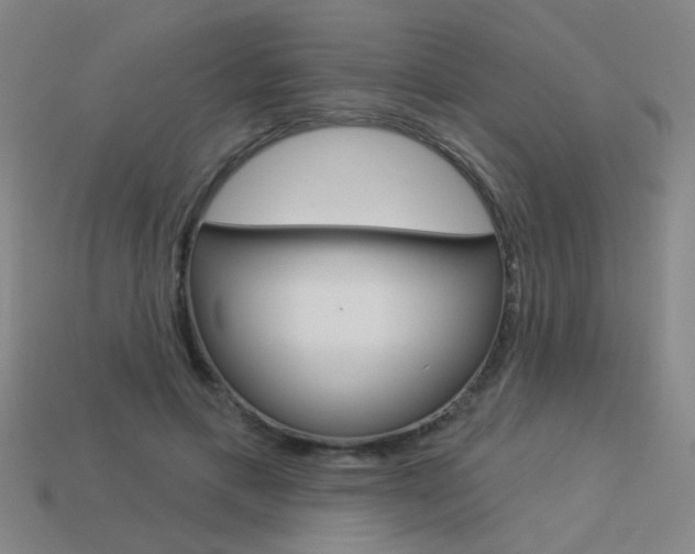 X0000113550597200909181001