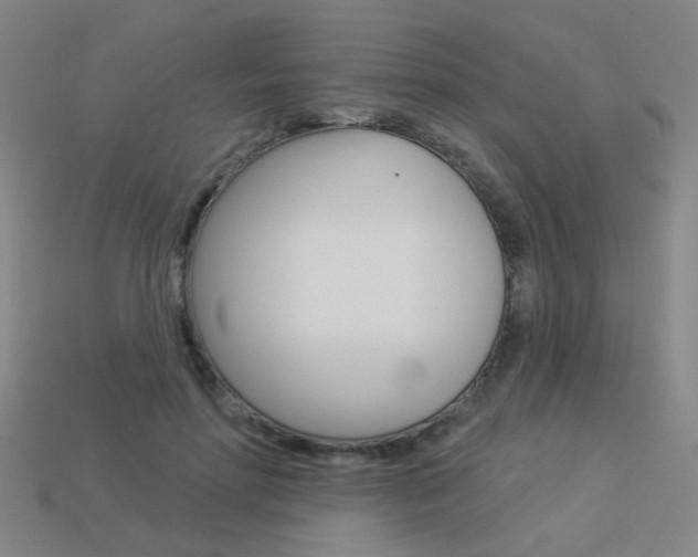 X0000113550598200909181001