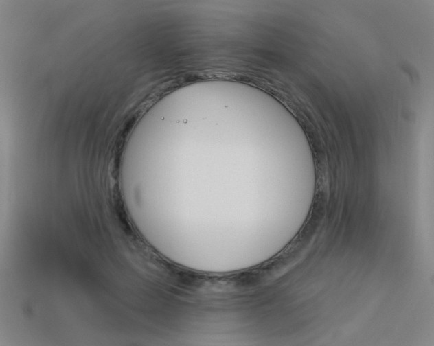X0000113550599200909181001