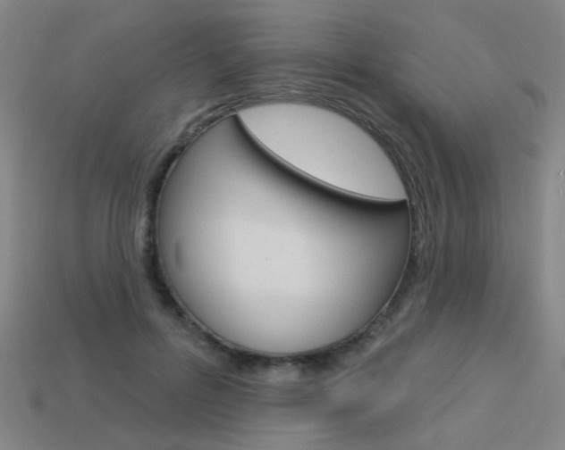 X0000113550600200909181001