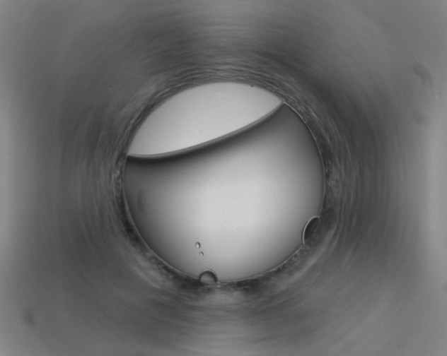 X0000113550601200909181001