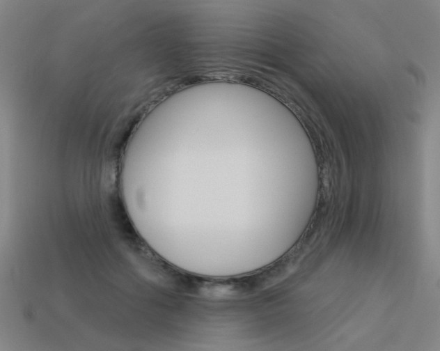 X0000113550602200909181001