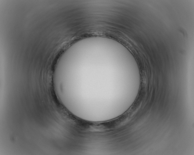 X0000113550603200909181001