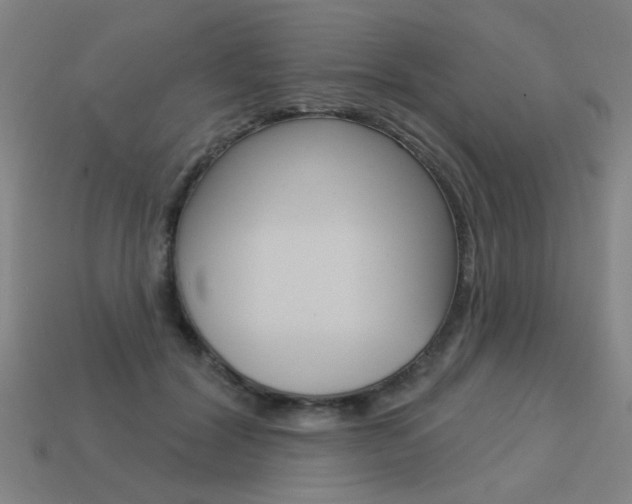 X0000113550604200909181001