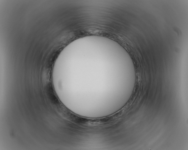 X0000113550606200909181001