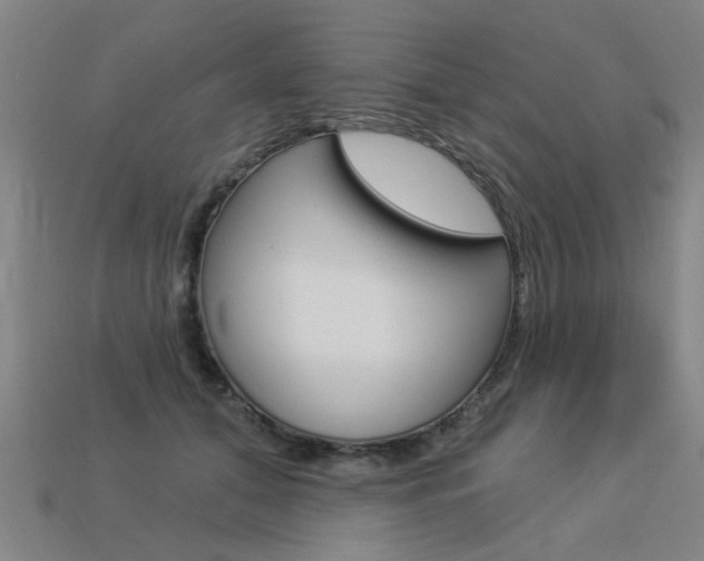 X0000113550608200909181001