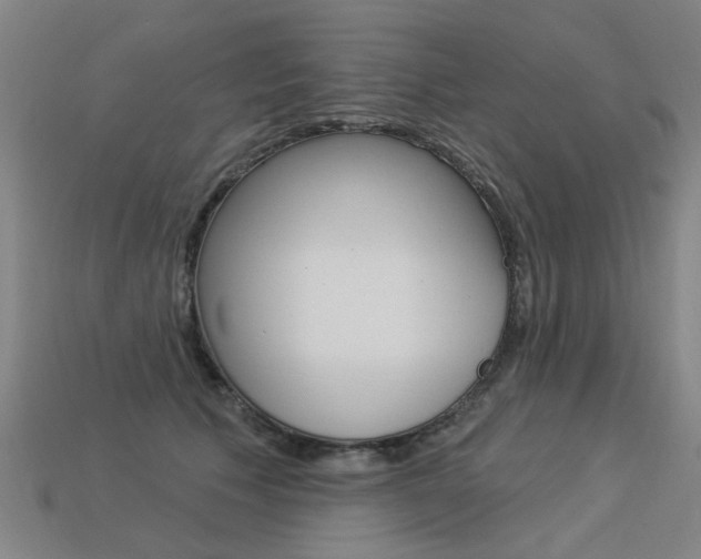 X0000113550609200909181001