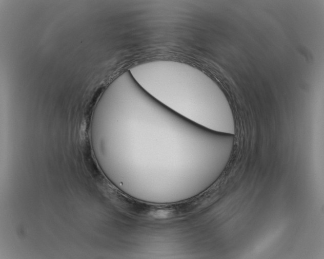 X0000113550610200909181001