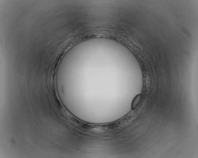 X0000113550611200909181001