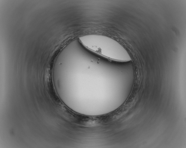 X0000113550612200909181001
