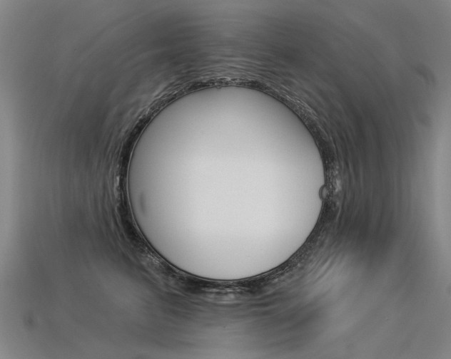 X0000113550615200909181001