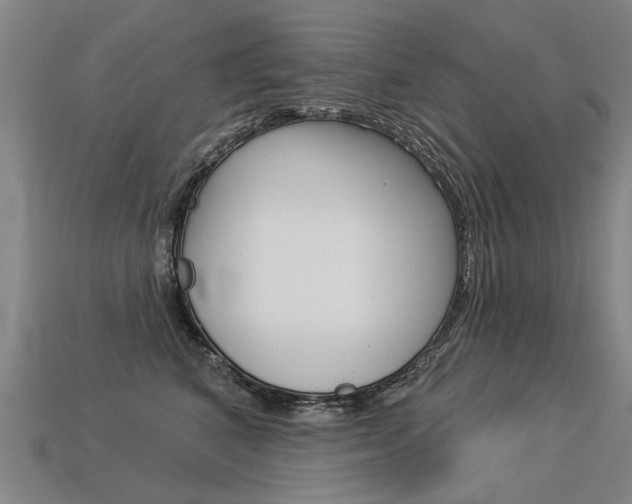 X0000113550616200909181000