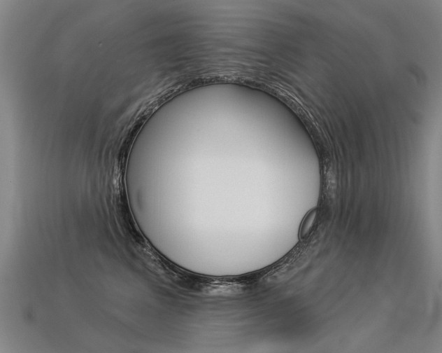 X0000113550617200909181000