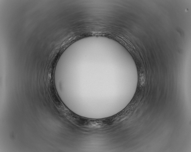 X0000113550618200909181000