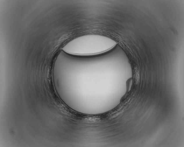 X0000113550619200909181000