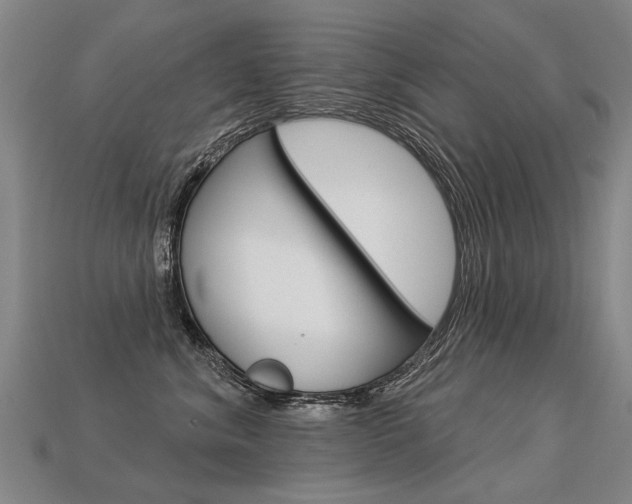 X0000113550620200909181000