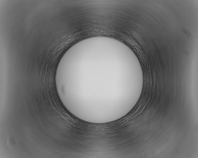 X0000113550621200909181000