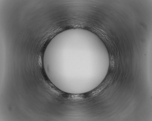 X0000113550622200909181000