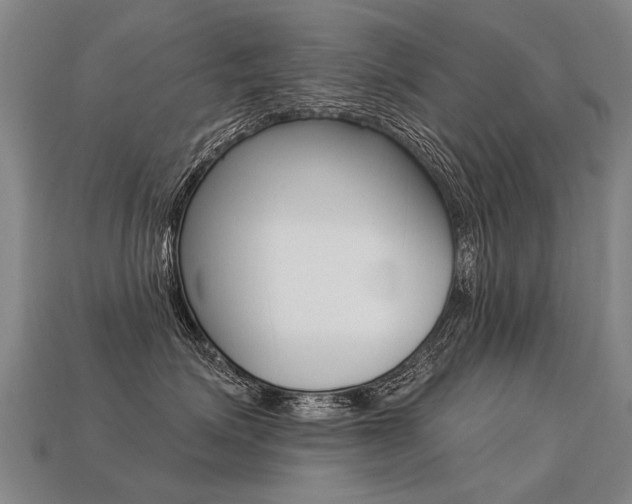 X0000113550623200909181000