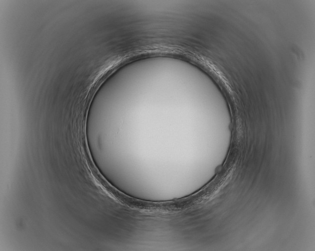 X0000113550625200909181000