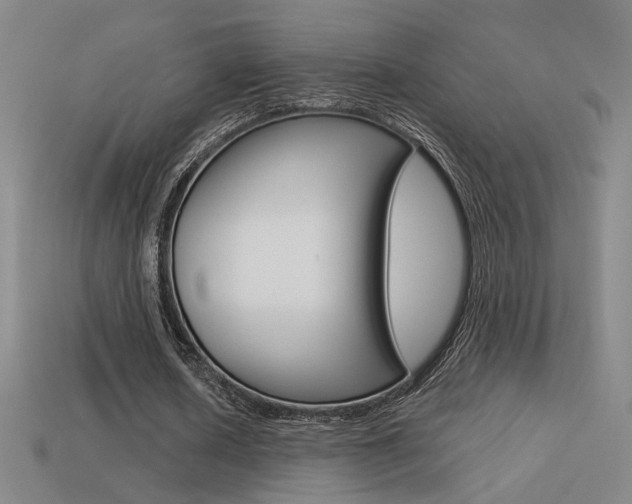 X0000113550626200909181000